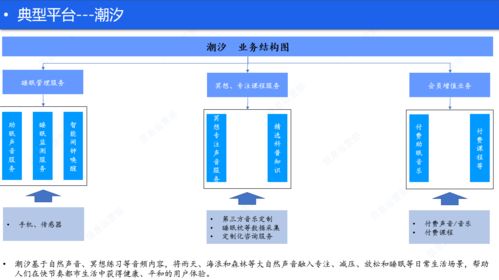 線上助眠服務(wù)廣告業(yè)務(wù)淺析 流量風(fēng)口下的新機(jī)遇與挑戰(zhàn)